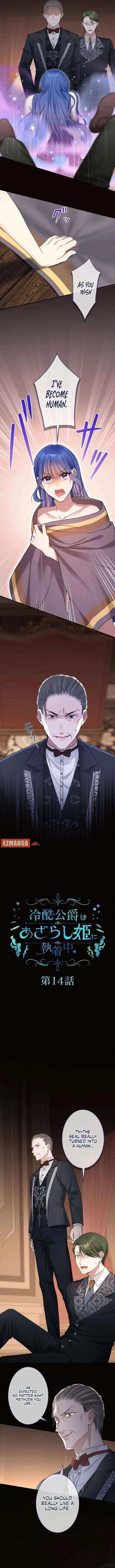 The Coldhearted Duke Is Obsessed With the Seal Princess Chapter 14 – Page 2