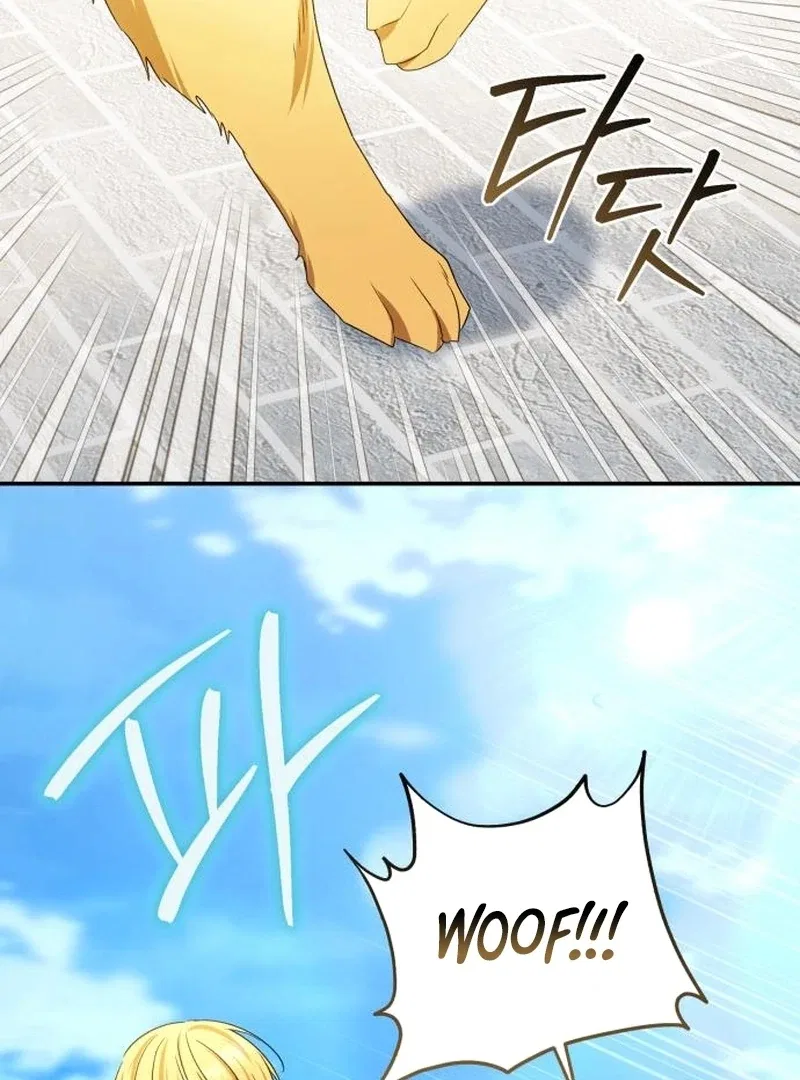 My Husband Was Stolen Twice Chapter 31 – Page 69