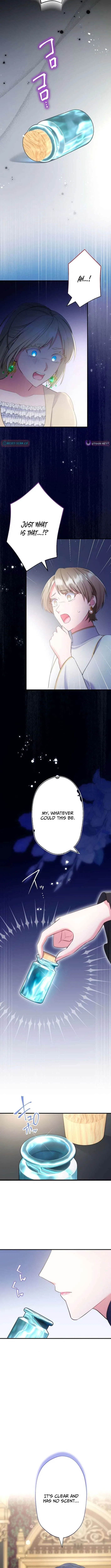 The Abandoned Great Saint Is Doted On by an Elf and Returns to Her Homeland Chapter 25 – Page 8