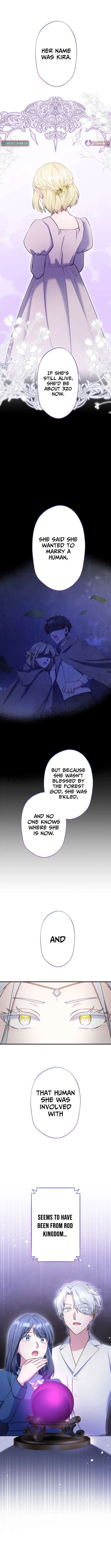 The Abandoned Great Saint Is Doted On by an Elf and Returns to Her Homeland Chapter 23 – Page 14