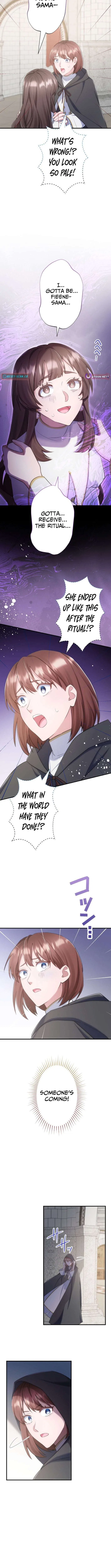 The Abandoned Great Saint Is Doted On by an Elf and Returns to Her Homeland Chapter 22 – Page 13