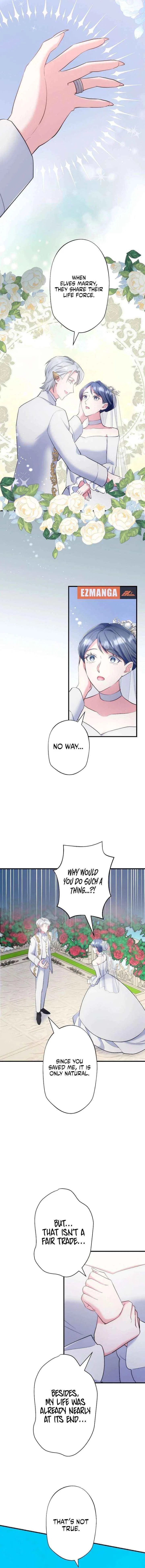 The Abandoned Great Saint Is Doted On by an Elf and Returns to Her Homeland Chapter 17 – Page 16