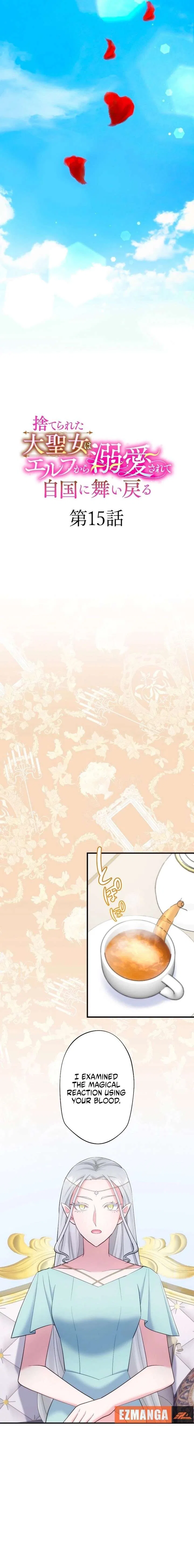 The Abandoned Great Saint Is Doted On by an Elf and Returns to Her Homeland Chapter 15 – Page 2