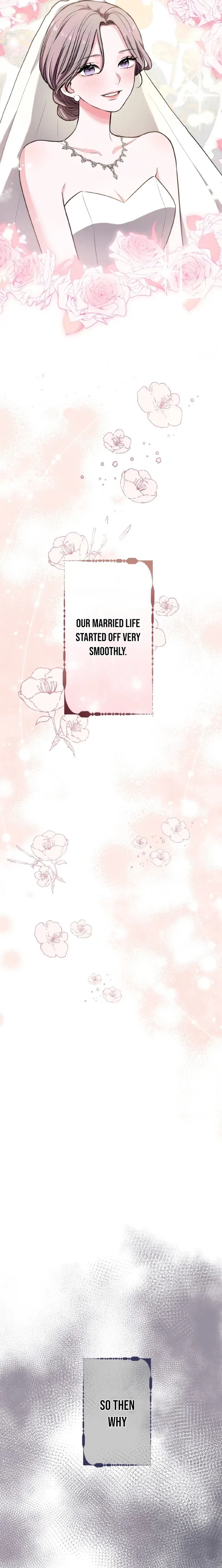 Between the Husband I Love and the Man I’m In Love With Chapter 1 – Page 29