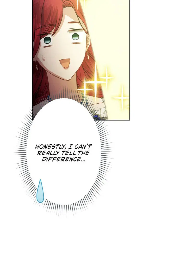 The Overpowered Healing Magic! After Reincarnating, I Am Now Spoiled Rotten by My Former Subordinate Who Became a King. Chapter 47 – Page 117