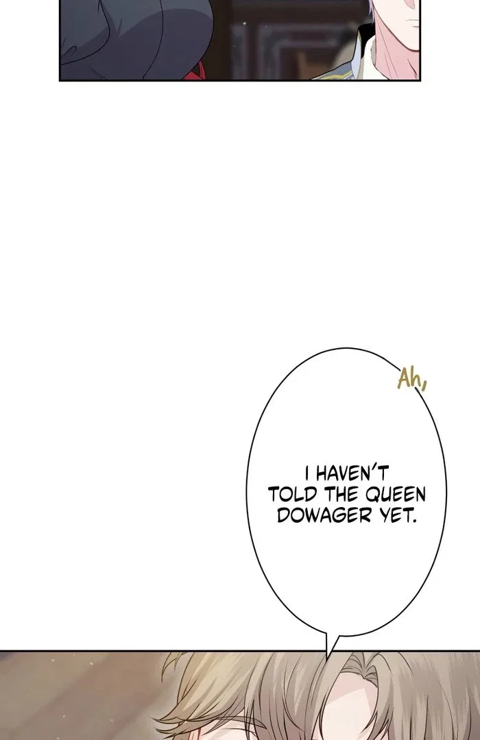 The Overpowered Healing Magic! After Reincarnating, I Am Now Spoiled Rotten by My Former Subordinate Who Became a King. Chapter 45 – Page 117