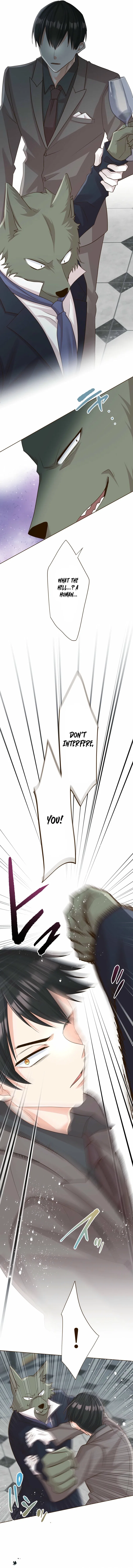 The White Wolf’s Bride Chapter 107 – Page 8