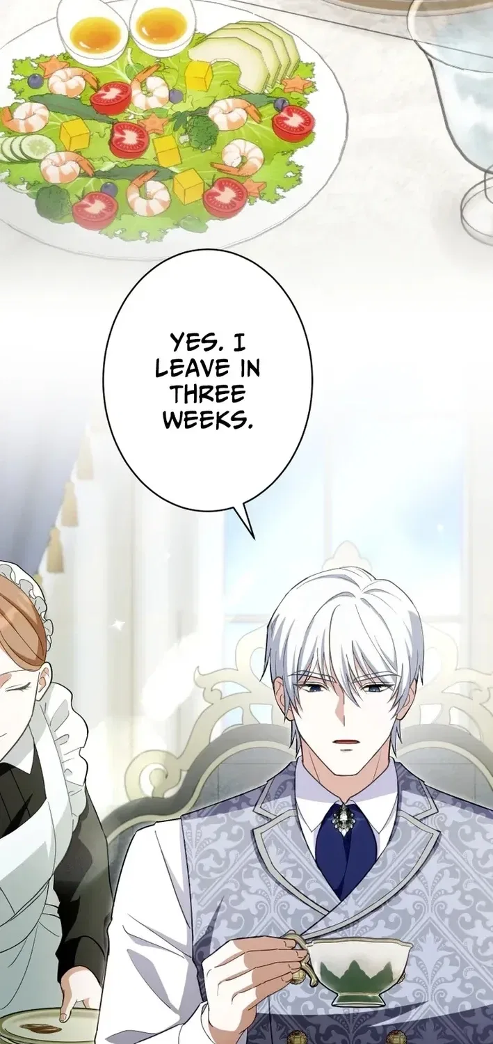 The Substitute Bride is Doted On by the Coldhearted Emperor Chapter 11 – Page 3