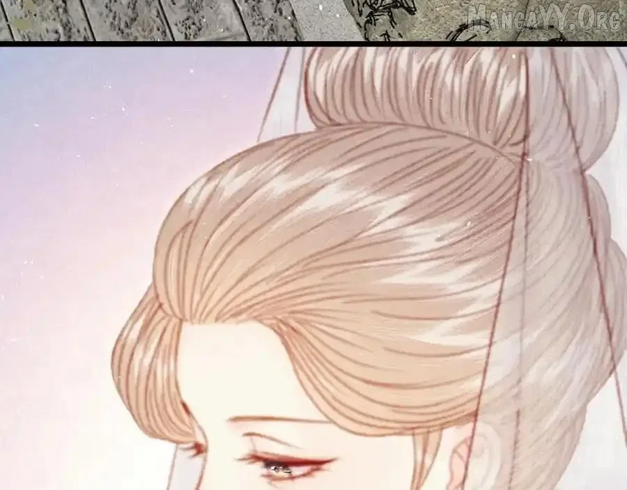 Shao Hua Long: Rebirth of the Evil Concubine’s Counterattack Chapter 26 – Page 258