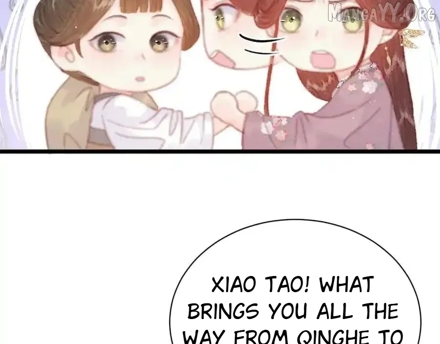 Shao Hua Long: Rebirth of the Evil Concubine’s Counterattack Chapter 20 – Page 42