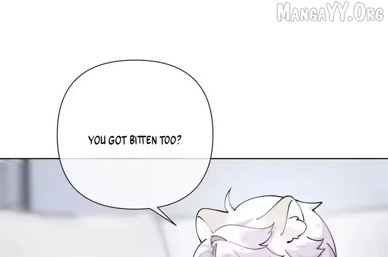 Her Marriage Was Called Off at Daytime, the Cutely Fierce Commander Asked Her For a Hug at Night Chapter 171 – Page 56