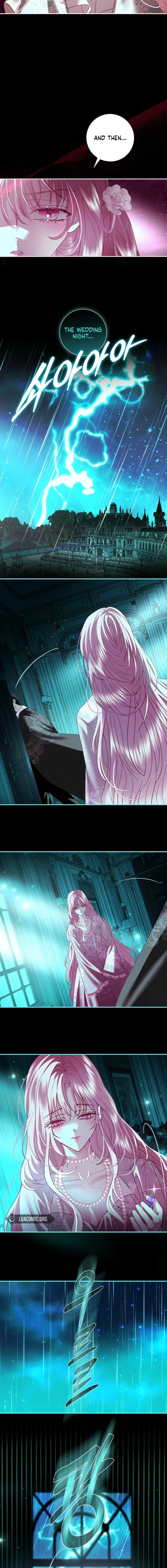 Black Man, I’ll Do Everything for You Except Marriage! Chapter 69 – Page 3