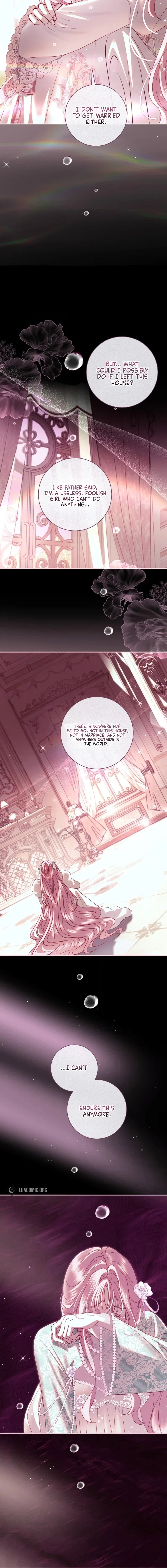 Black Man, I’ll Do Everything for You Except Marriage! Chapter 68 – Page 12