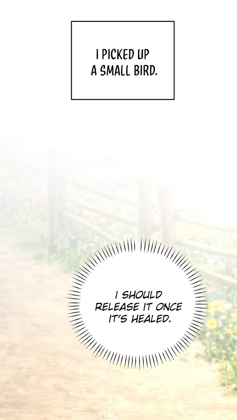I adopted a male lead from prison shelter Chapter 104 – Page 12