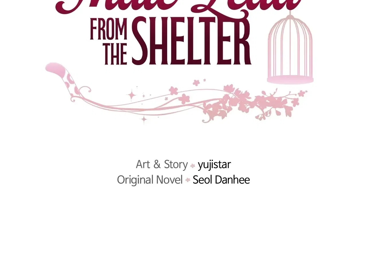 I adopted a male lead from prison shelter Chapter 96 – Page 62