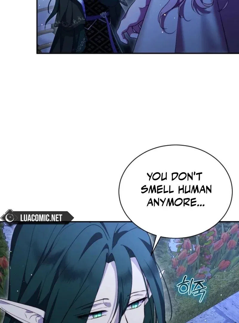 The Baby Divine Beast Chapter 112 – Page 41