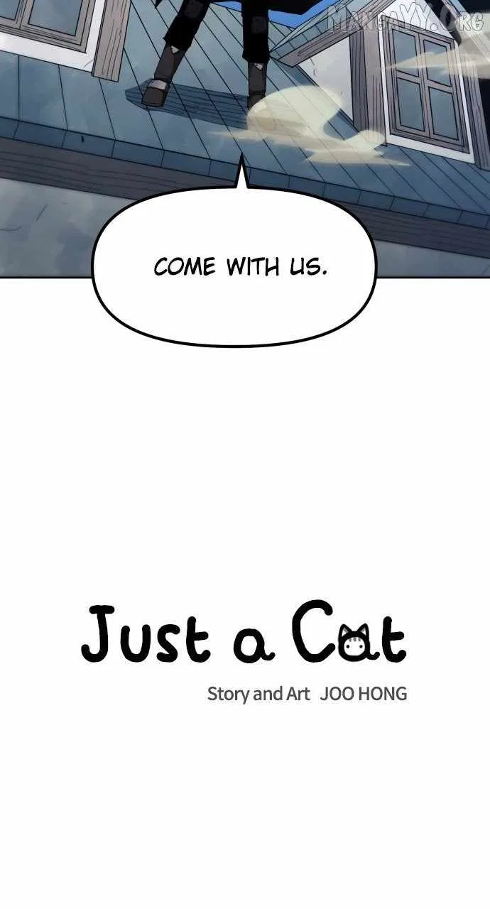 Just a Cat Chapter 53 – Page 11