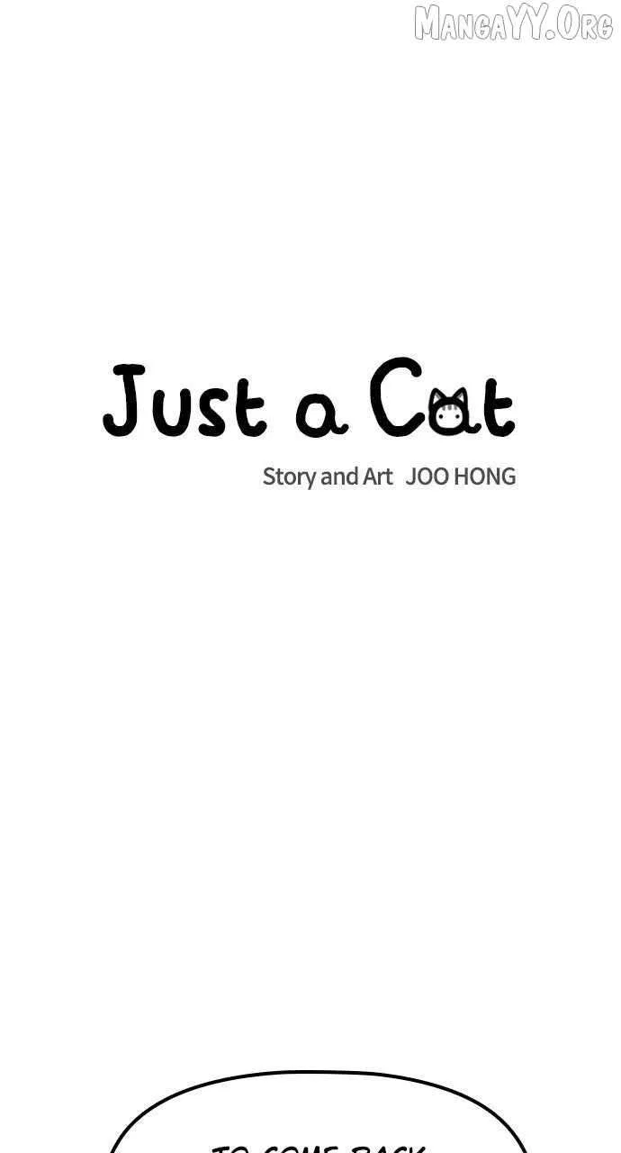 Just a Cat Chapter 41 – Page 7