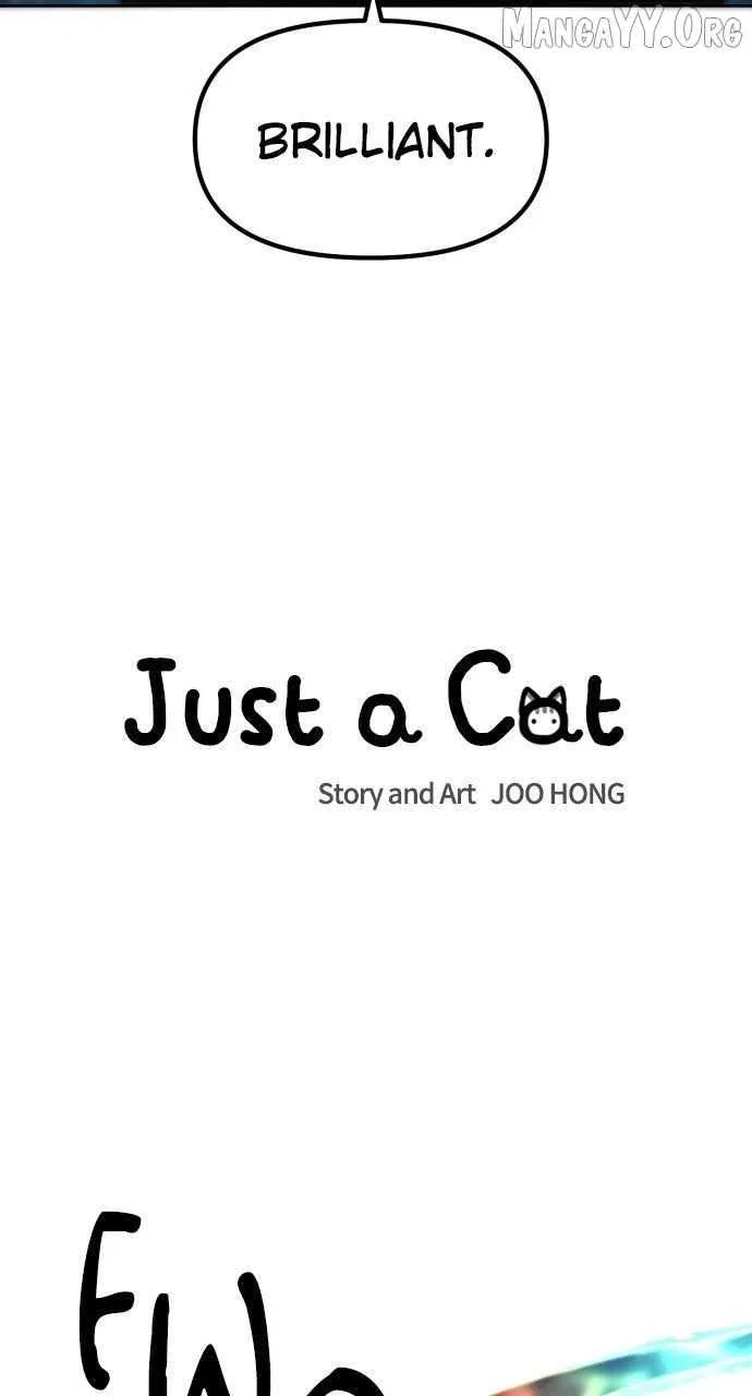 Just a Cat Chapter 39 – Page 10