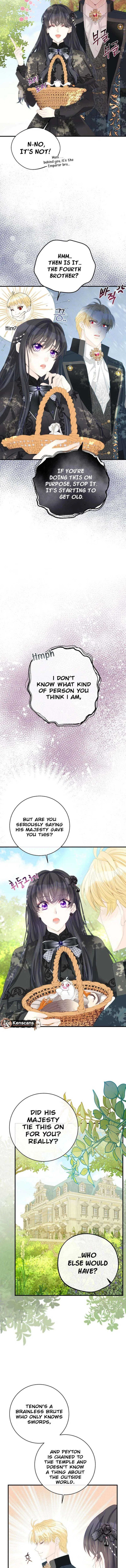 I Became The Black Swan Mother of The White Swan Princess Chapter 37 – Page 4