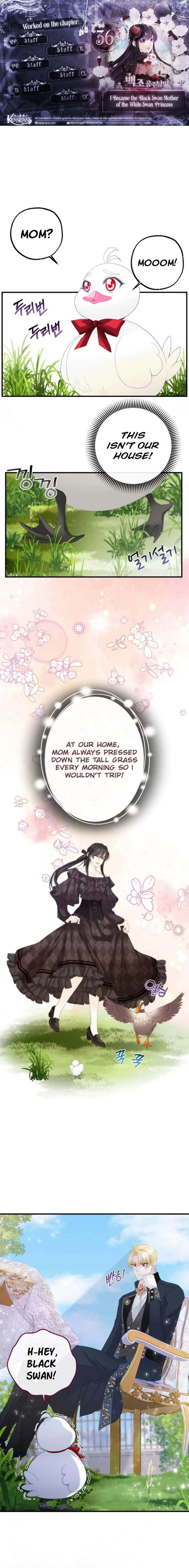 I Became The Black Swan Mother of The White Swan Princess Chapter 36 – Page 1