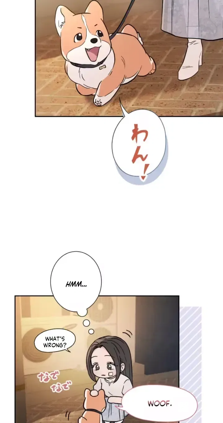 Isn’t Love Supposed to be Unnecessary in a Mistress Contract? Chapter 12 – Page 16