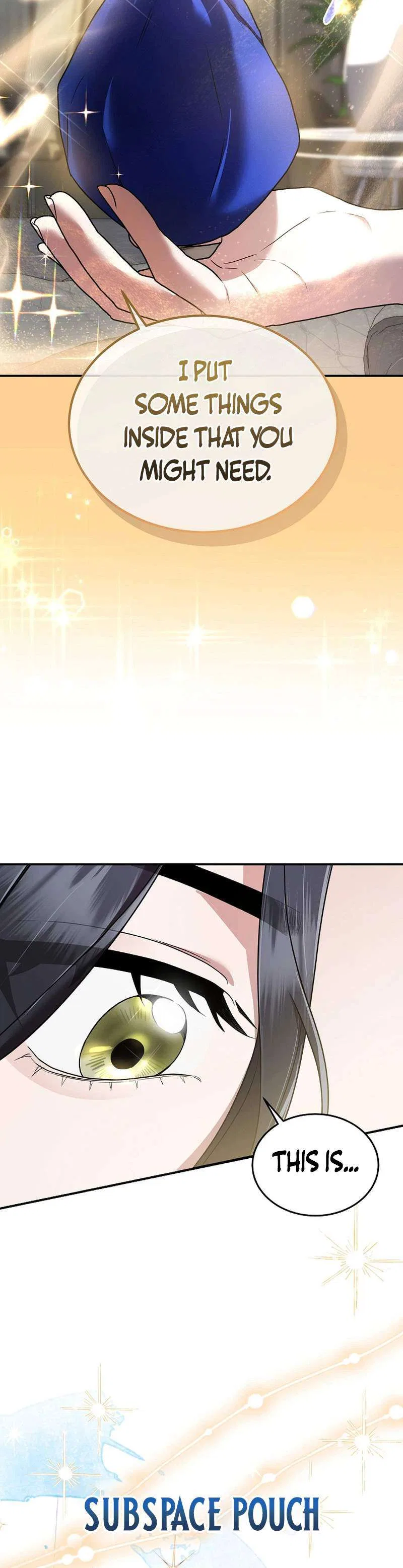 SSS-Class Regressor Has No Conscience Chapter 14 – Page 13