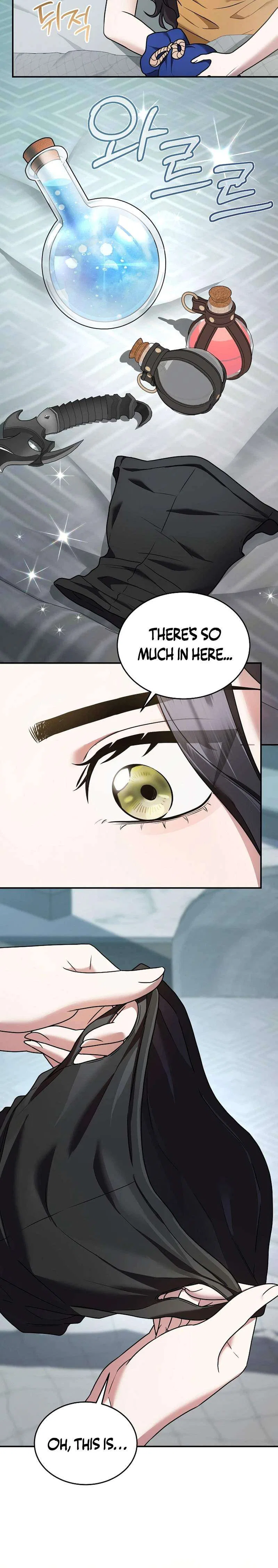 SSS-Class Regressor Has No Conscience Chapter 14 – Page 16