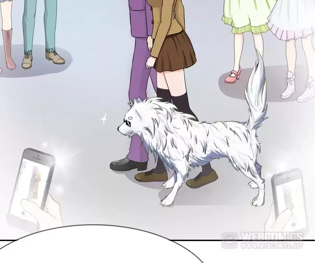Overbearing Loyal Dog Looking For Love Chapter 115 – Page 35