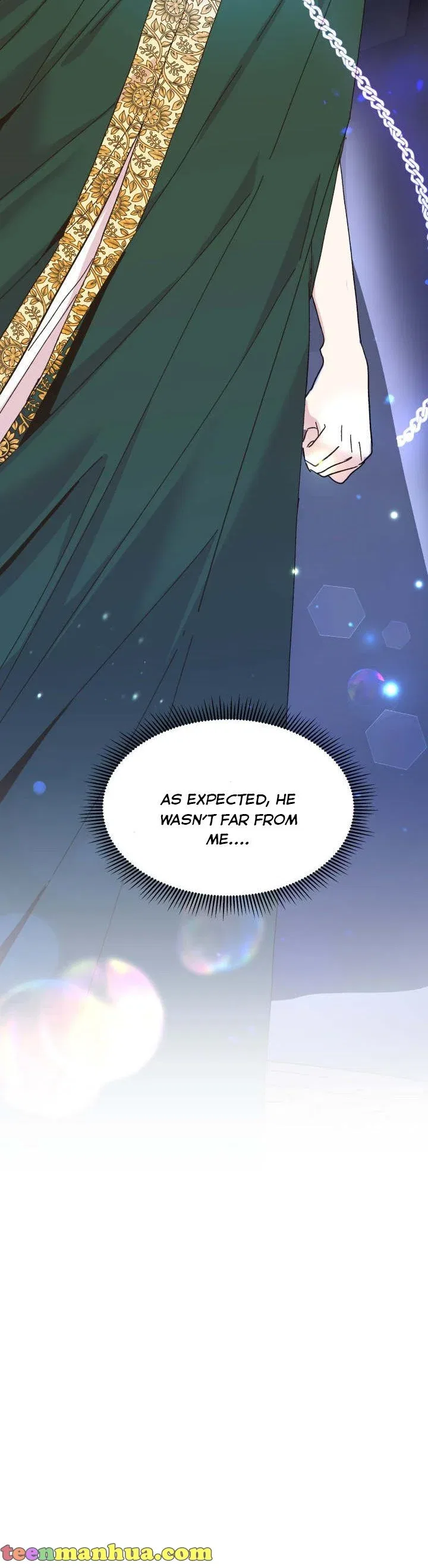 The Princess Pretends To Be Crazy Chapter 62 – Page 22