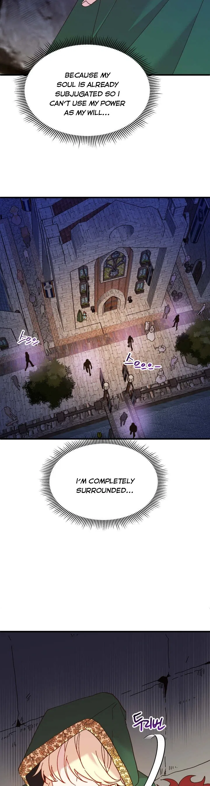 The Princess Pretends To Be Crazy Chapter 61 – Page 9