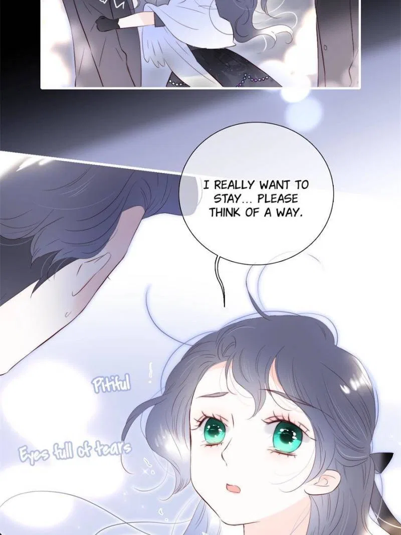 The Beauty Ran Away with The Hedgehog Chapter 89 – Page 12