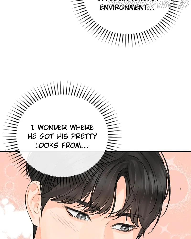 The Persimmon Secretary Chapter 54 – Page 43