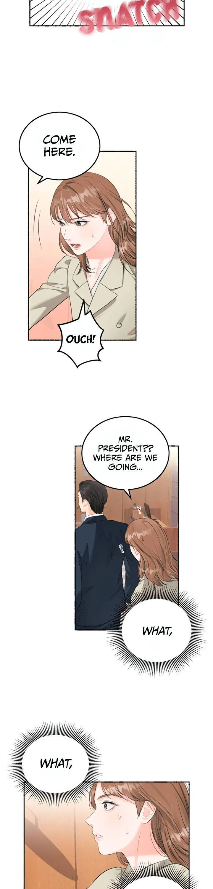 The Persimmon Secretary Chapter 6 – Page 15
