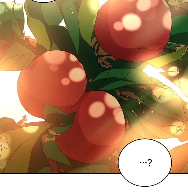 Contract Concubine Chapter 99 – Page 13