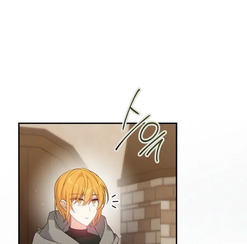 I Will Seduce The Male Lead For My Older Brother Chapter 94 – Page 79