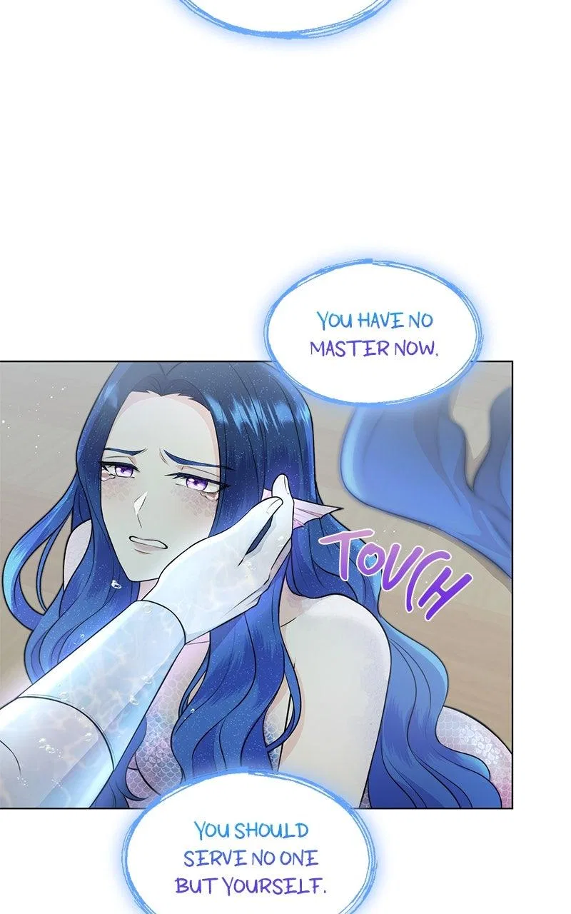 Seabird And The Wolf Chapter 90 – Page 66