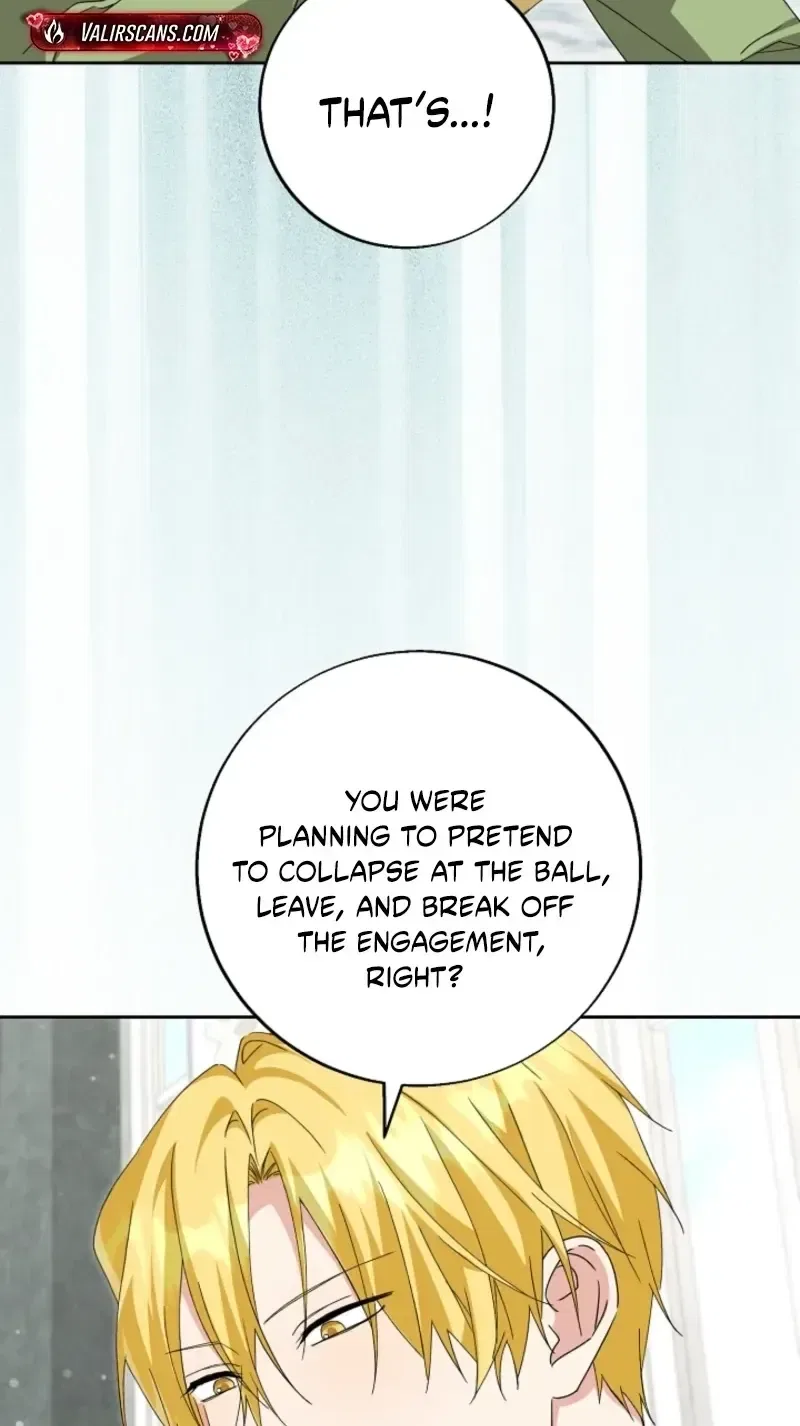 I Opened an Illegal Veterinary Clinic in Another World Chapter 43 – Page 57
