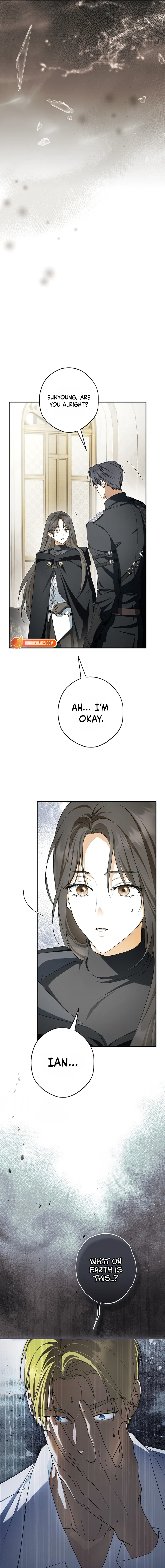 The Male Leads Were Stolen by an Extra Chapter 96 – Page 17