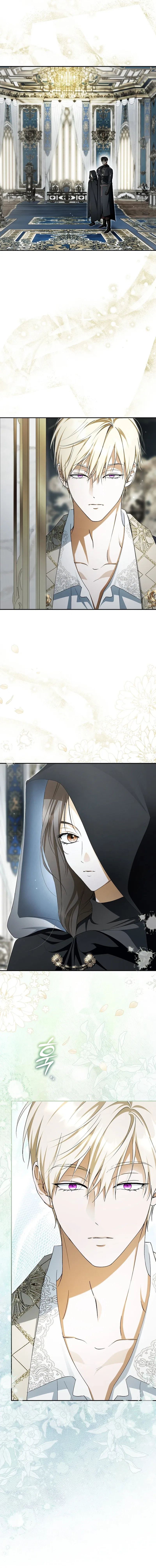 The Male Leads Were Stolen by an Extra Chapter 95 – Page 15
