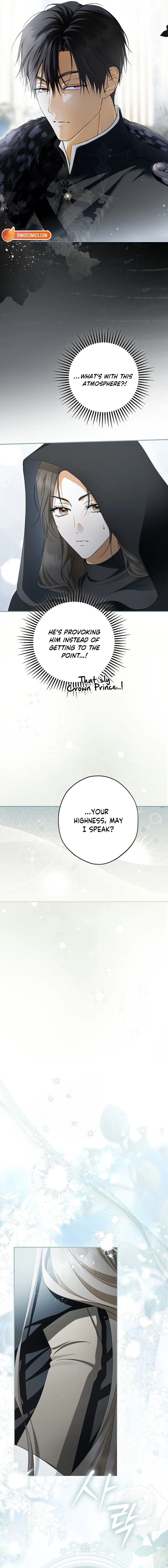 The Male Leads Were Stolen by an Extra Chapter 95 – Page 19
