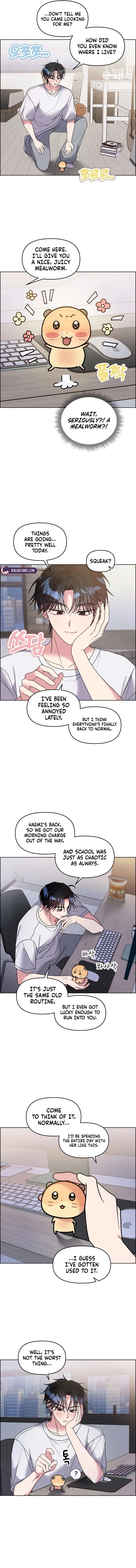 Meow Meow Squeak Squeak! Chapter 63 – Page 4