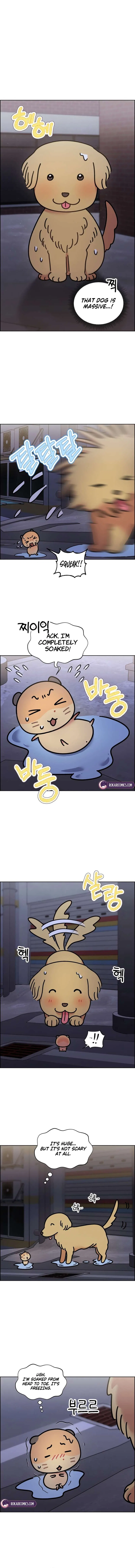 Meow Meow Squeak Squeak! Chapter 61 – Page 2