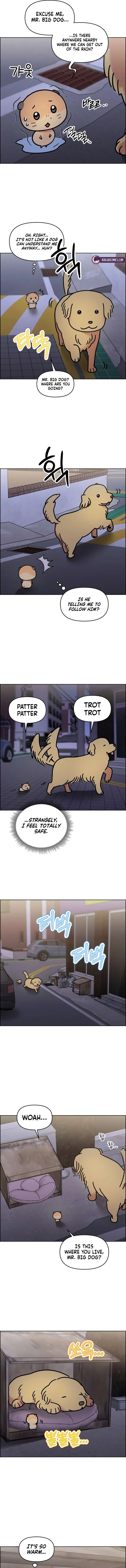Meow Meow Squeak Squeak! Chapter 61 – Page 3