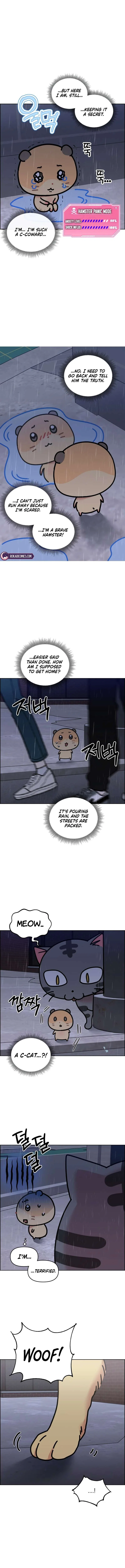 Meow Meow Squeak Squeak! Chapter 60 – Page 6
