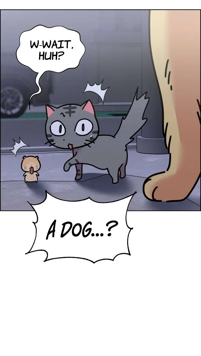 Meow Meow Squeak Squeak! Chapter 60 – Page 7
