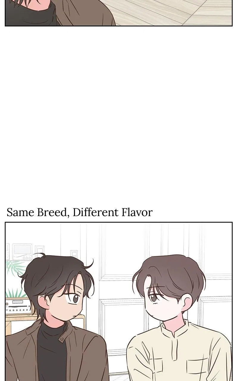 My Salty Love Chapter 68 – Page 91