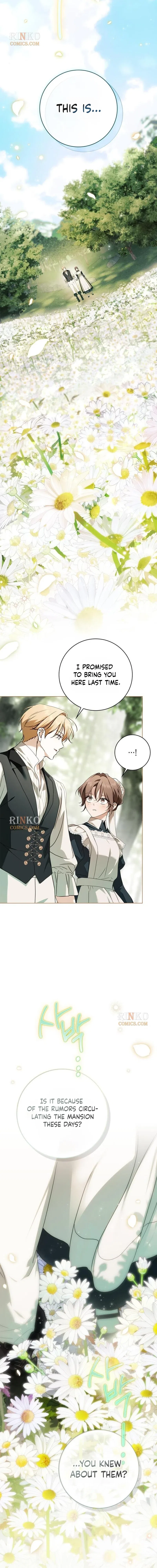 The Count’s Secret Maid Chapter 99 – Page 8