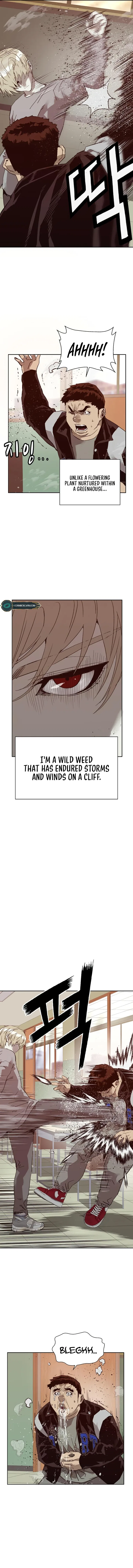Weak Hero Chapter 260 – Page 3