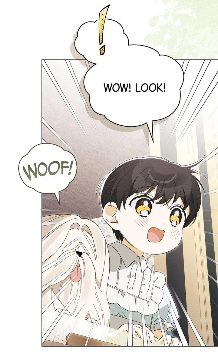 I Am Being Chased by My Husband Chapter 37 – Page 49